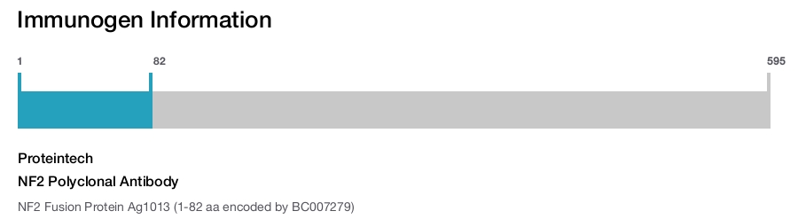 NF2 Polyclonal Antibody