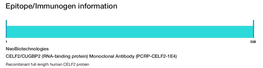 CELF2/CUGBP2 (RNA-binding protein) Monoclonal Antibody (PCRP-CELF2-1E4)