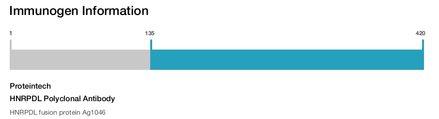 HNRPDL Polyclonal Antibody