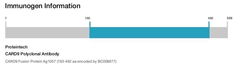 CARD9 Polyclonal Antibody
