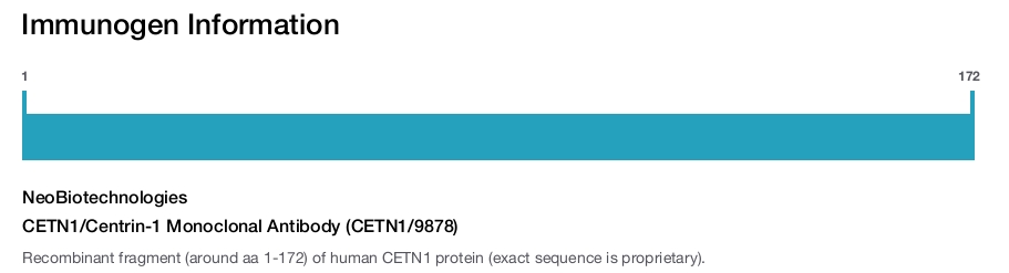 CETN1/Centrin-1 Monoclonal Antibody (CETN1/9878)