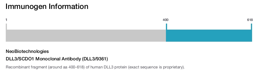 DLL3/SCDO1 Monoclonal Antibody (DLL3/9361)