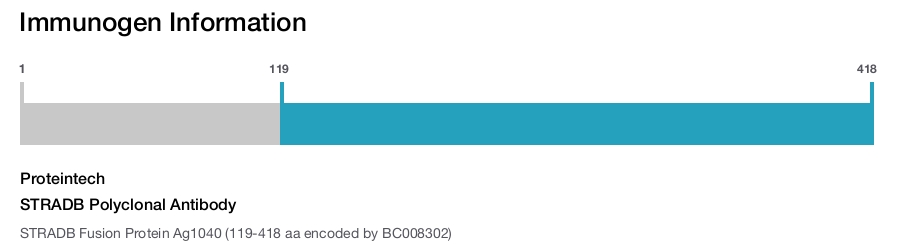STRADB Polyclonal Antibody