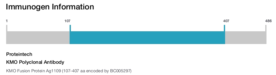 KMO Polyclonal Antibody