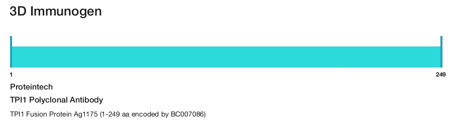 TPI1 Polyclonal Antibody