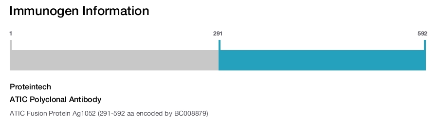 ATIC Polyclonal Antibody