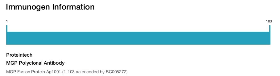 MGP Polyclonal Antibody