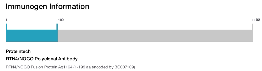 RTN4/NOGO Polyclonal Antibody