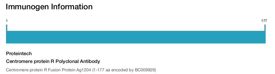Centromere protein R Polyclonal Antibody
