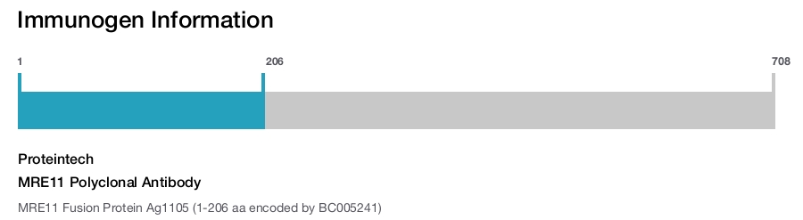 MRE11 Polyclonal Antibody