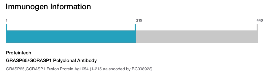 GRASP65/GORASP1 Polyclonal Antibody