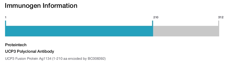UCP3 Polyclonal Antibody