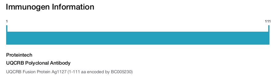 UQCRB Polyclonal Antibody