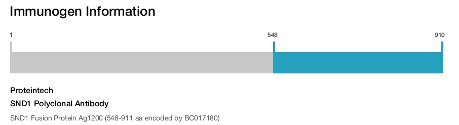 SND1 Polyclonal Antibody