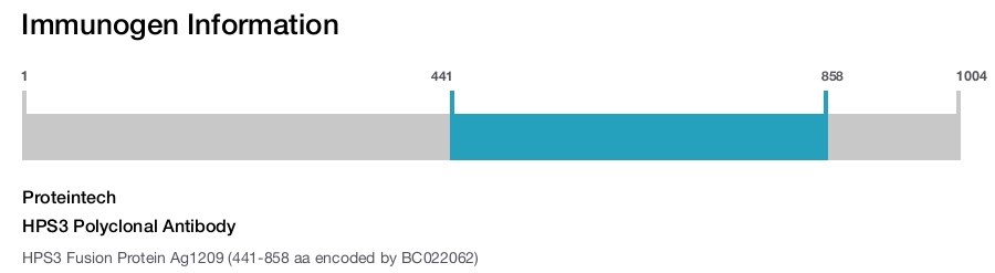 HPS3 Polyclonal Antibody