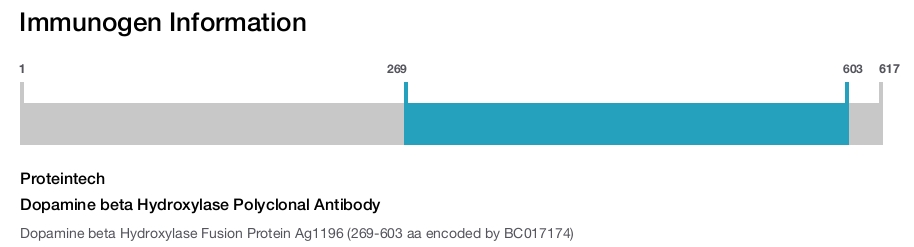 Dopamine beta Hydroxylase Polyclonal Antibody