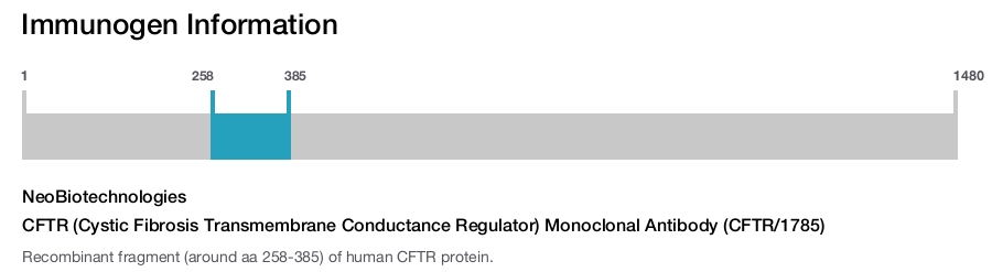 CFTR (Cystic Fibrosis Transmembrane Conductance Regulator) Monoclonal Antibody (CFTR/1785)