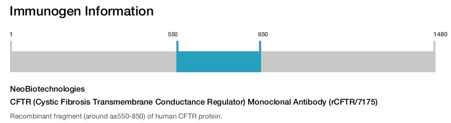 CFTR (Cystic Fibrosis Transmembrane Conductance Regulator) Monoclonal Antibody (rCFTR/7175)