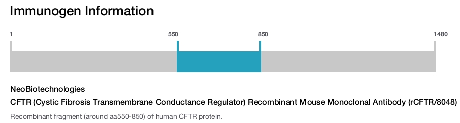 CFTR (Cystic Fibrosis Transmembrane Conductance Regulator) Recombinant Mouse Monoclonal Antibody (rCFTR/8048)