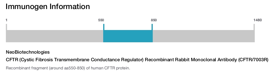 CFTR (Cystic Fibrosis Transmembrane Conductance Regulator) Recombinant Rabbit Monoclonal Antibody (CFTR/7003R)