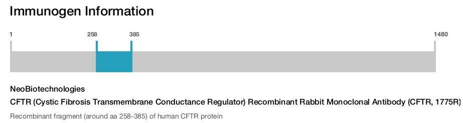 CFTR (Cystic Fibrosis Transmembrane Conductance Regulator) Recombinant Rabbit Monoclonal Antibody (CFTR, 1775R)
