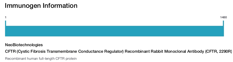 CFTR (Cystic Fibrosis Transmembrane Conductance Regulator) Recombinant Rabbit Monoclonal Antibody (CFTR, 2290R)