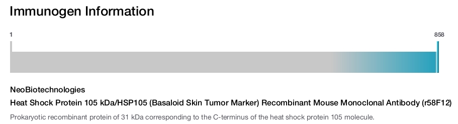 Heat Shock Protein 105 kDa/HSP105 (Basaloid Skin Tumor Marker) Recombinant Mouse Monoclonal Antibody (r58F12)