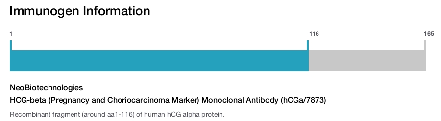 HCG-beta (Pregnancy and Choriocarcinoma Marker) Monoclonal Antibody (hCGa/7873)