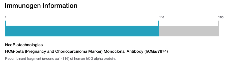 HCG-beta (Pregnancy and Choriocarcinoma Marker) Monoclonal Antibody (hCGa/7874)