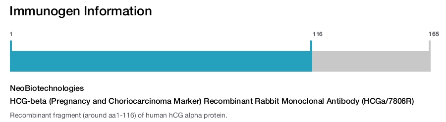 HCG-beta (Pregnancy and Choriocarcinoma Marker) Recombinant Rabbit Monoclonal Antibody (HCGa/7806R)
