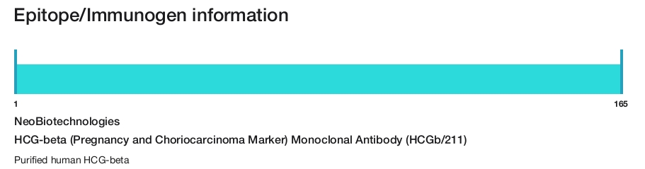 HCG-beta (Pregnancy and Choriocarcinoma Marker) Monoclonal Antibody (HCGb/211)
