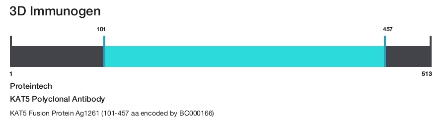 KAT5 Polyclonal Antibody