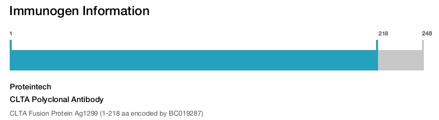 CLTA Polyclonal Antibody