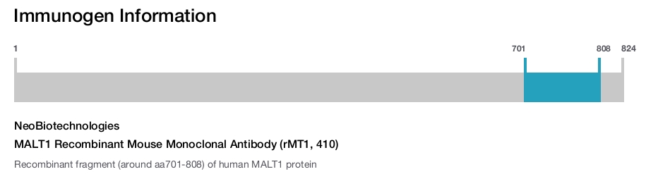 MALT1 Recombinant Mouse Monoclonal Antibody (rMT1, 410)