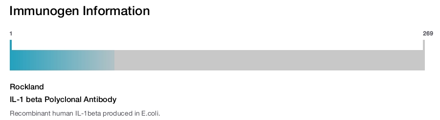 IL-1 beta Polyclonal Antibody