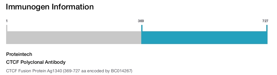 CTCF Polyclonal Antibody