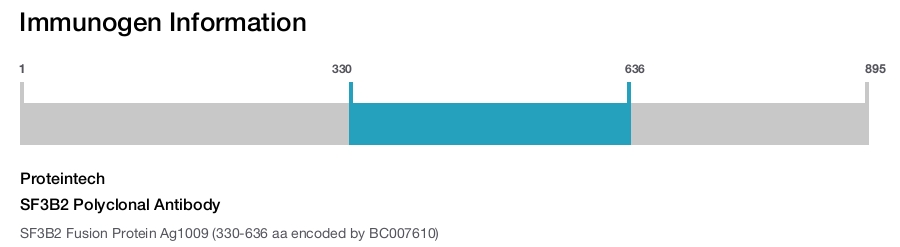 SF3B2 Polyclonal Antibody