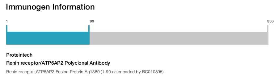 Renin receptor/ATP6AP2 Polyclonal Antibody