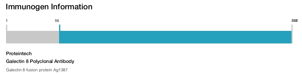 Galectin 8 Polyclonal Antibody