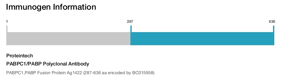 PABPC1/PABP Polyclonal Antibody