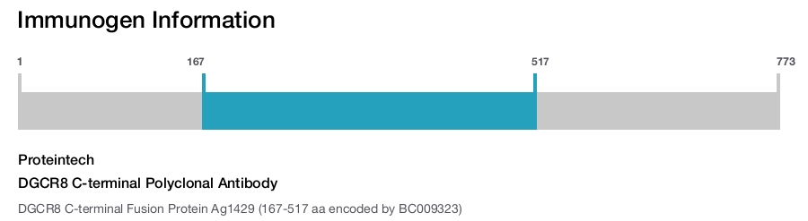 DGCR8 C-terminal Polyclonal Antibody