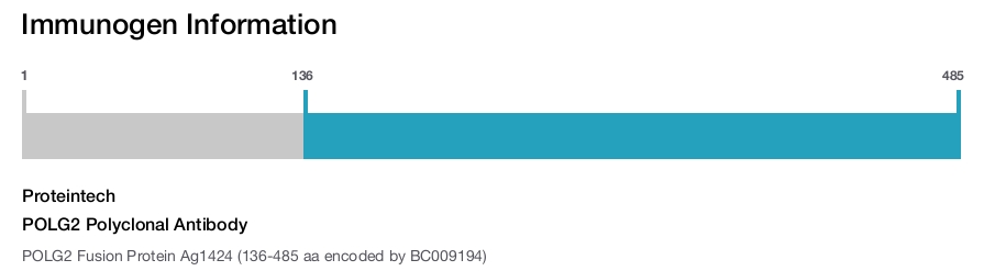 POLG2 Polyclonal Antibody