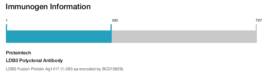 LDB3 Polyclonal Antibody