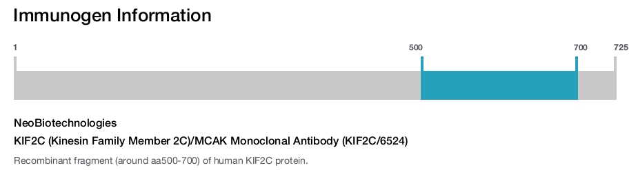 KIF2C (Kinesin Family Member 2C)/MCAK Monoclonal Antibody (KIF2C/6524)