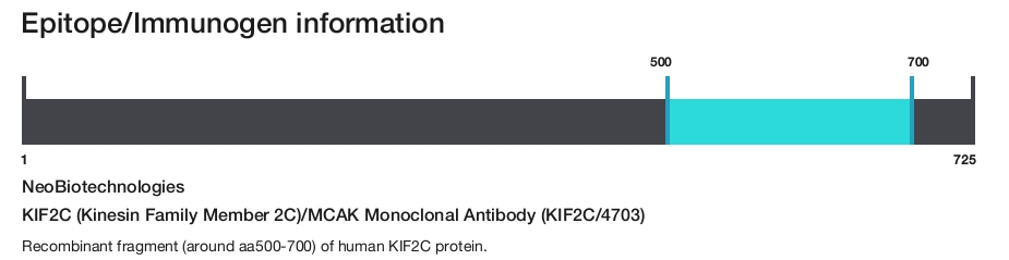 KIF2C (Kinesin Family Member 2C)/MCAK Monoclonal Antibody (KIF2C/4703)