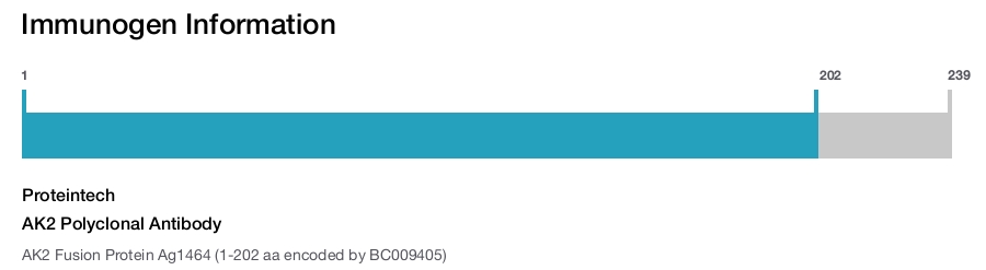 AK2 Polyclonal Antibody