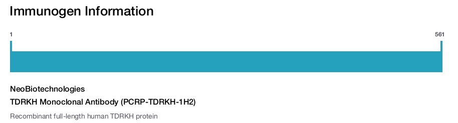 TDRKH Monoclonal Antibody (PCRP-TDRKH-1H2)