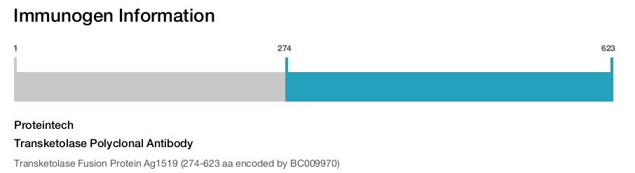 Transketolase Polyclonal Antibody
