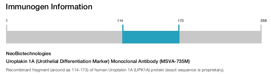 Uroplakin 1A (Urothelial Differentiation Marker) Monoclonal Antibody (MSVA-735M)