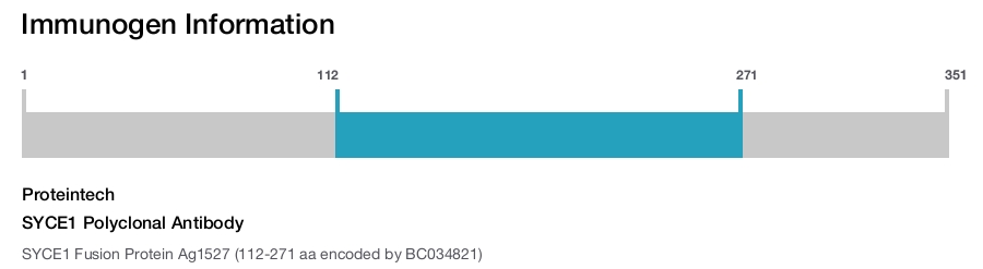 SYCE1 Polyclonal Antibody